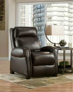 Southern MotionSaturn Recliner